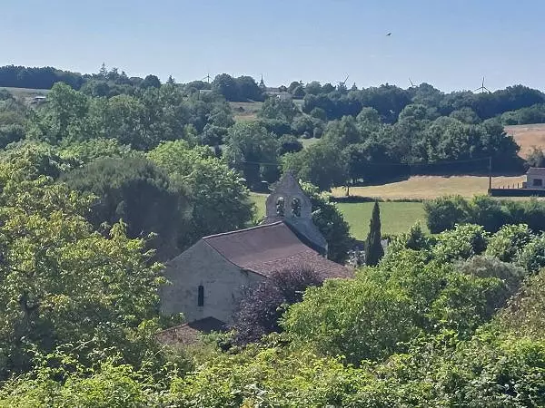 Une place à St-Angeau avec un arbre et de la pelouse
